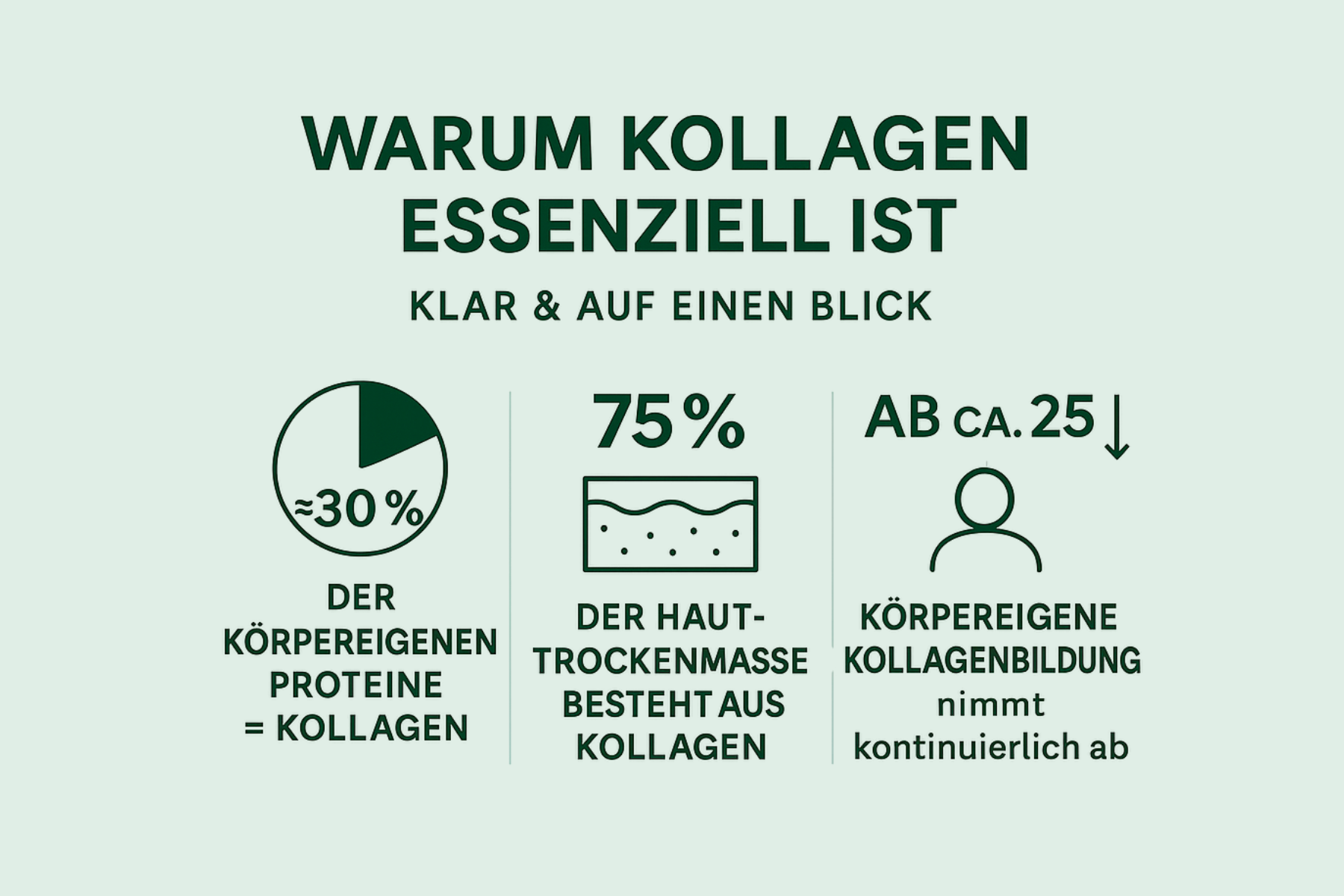 Matcha Grafik
